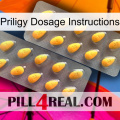 Priligy Dosage Instructions cialis2